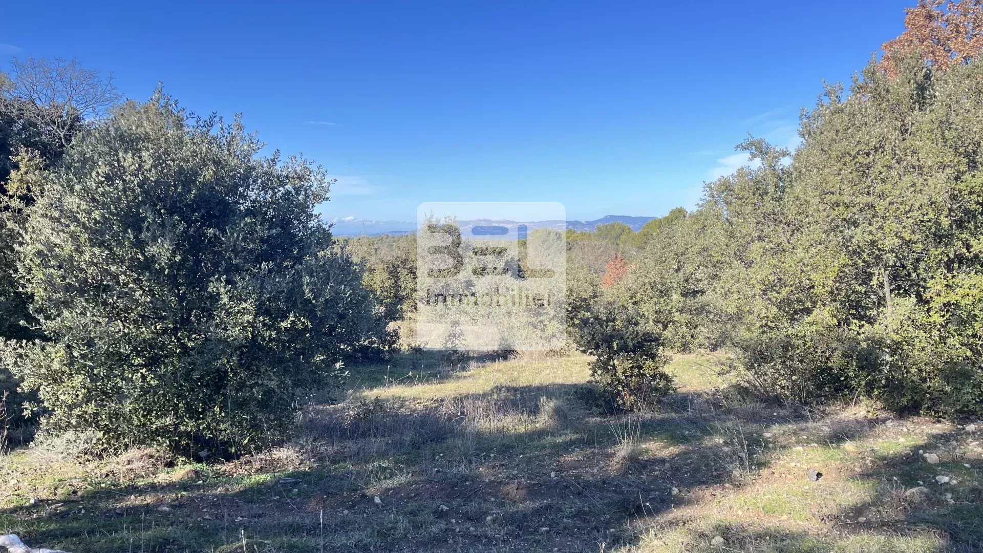 Truffière à Venasque non constructible