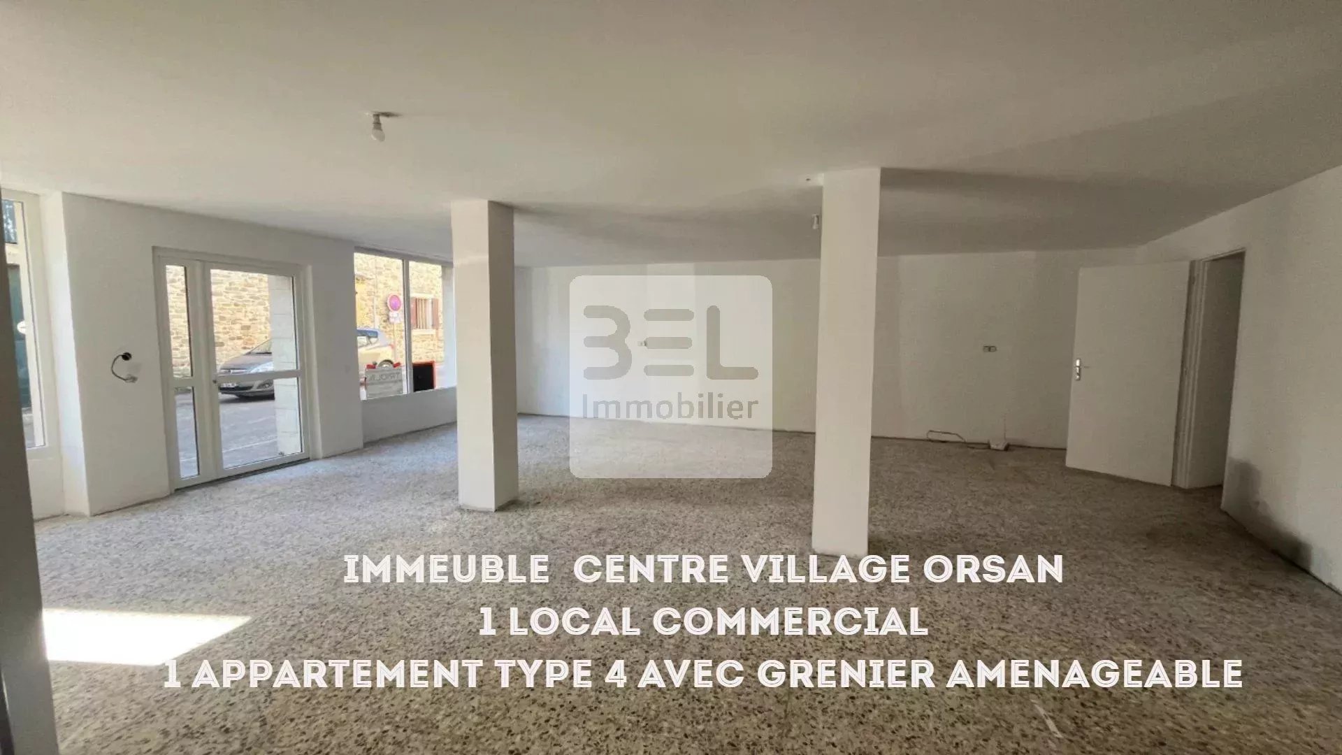 IDEAL INVESTISSEUR LOCAL COMMERCIAL ET APPARTEMENT TYPE 4