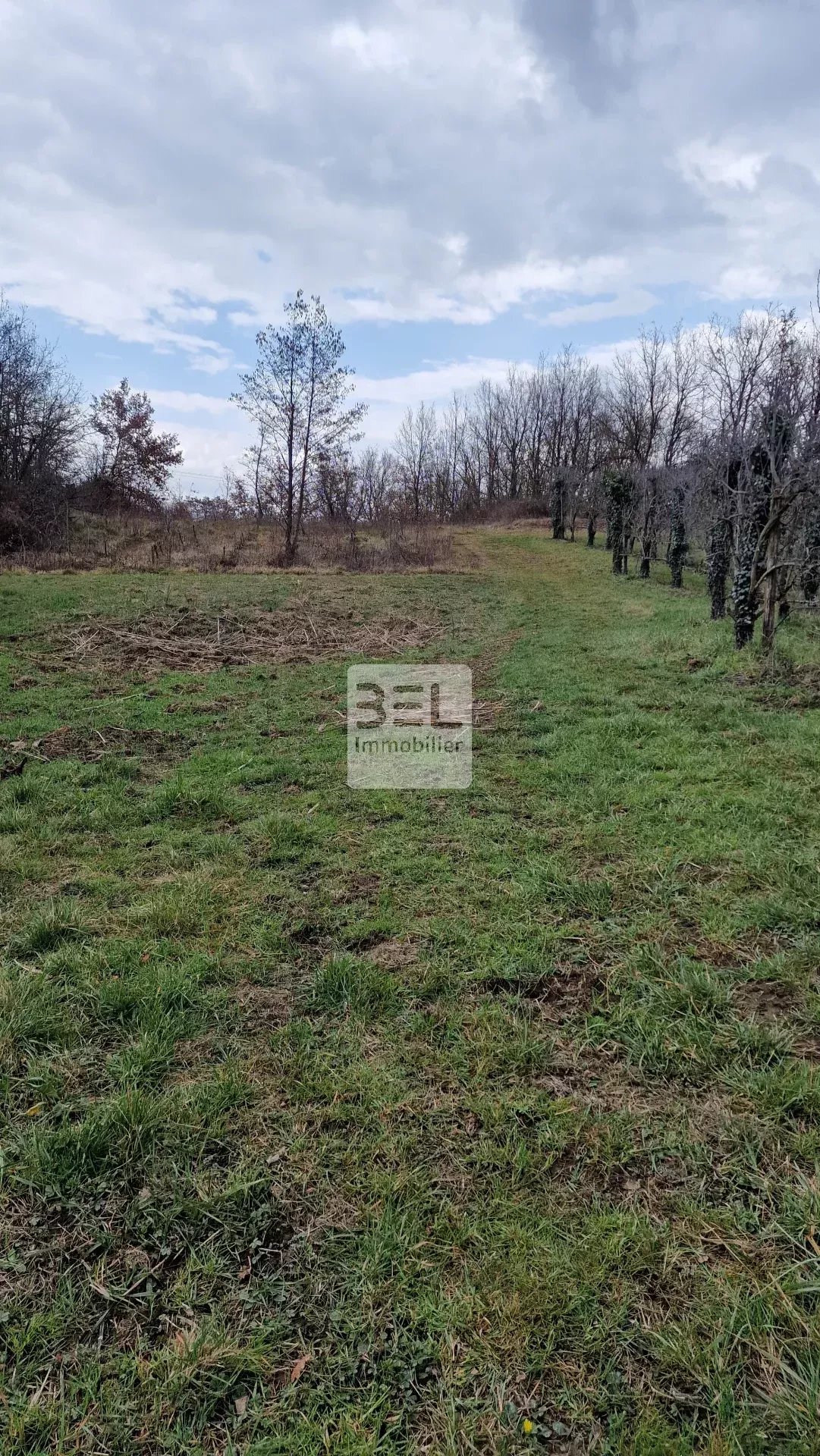 Terrain 4625m² très bien exposé et accessible